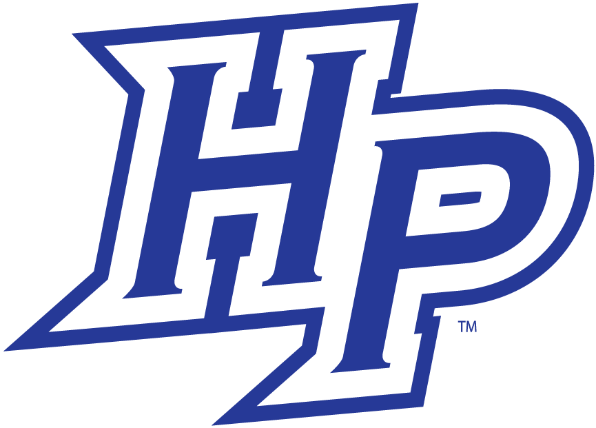 High Point Panthers 2004-2011 Alternate Logo v2 iron on transfers for fabric